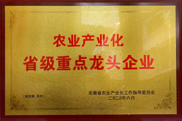 2020.6省級龍頭企業(yè)