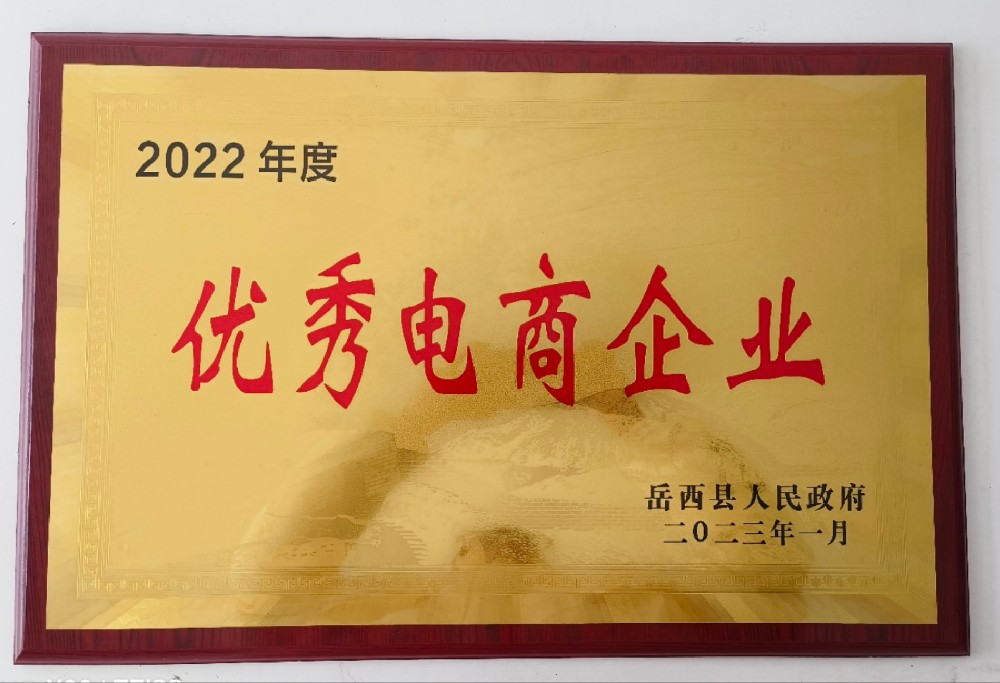 2023岳西縣優(yōu)秀電商企業(yè)